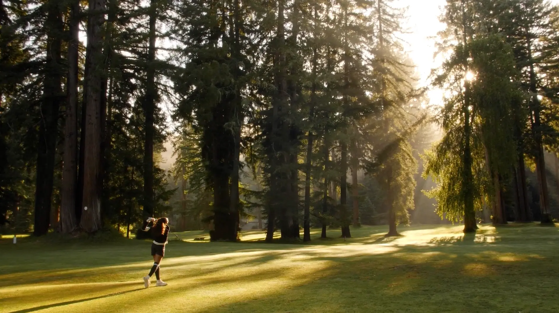 A golfer at the top of her follow-through on a fairway cut through towering redwoods, backlit by low sun.
